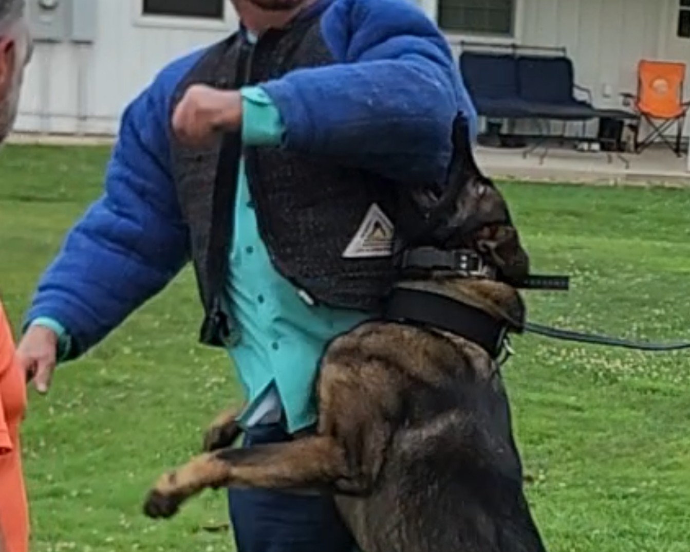 Executive protection K9 handler and dog