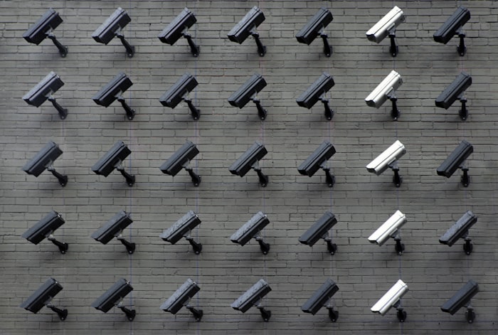 Security agent on protective detail